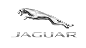 Jaguar-removebg-preview